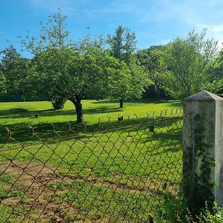 Les 3 Cedres Дом отдыха Miramont-de-Guyenne