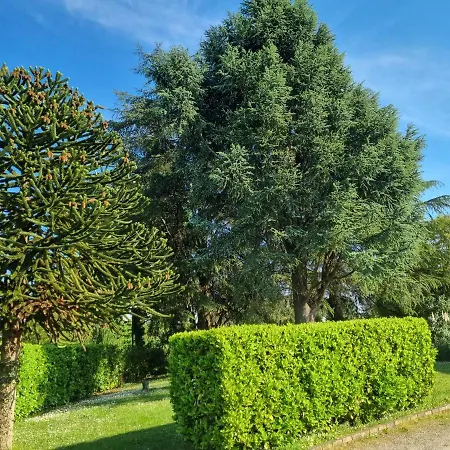 Les 3 Cedres Miramont-de-Guyenne