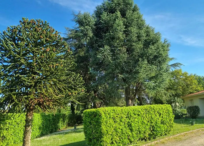 Les 3 Cedres Miramont-de-Guyenne